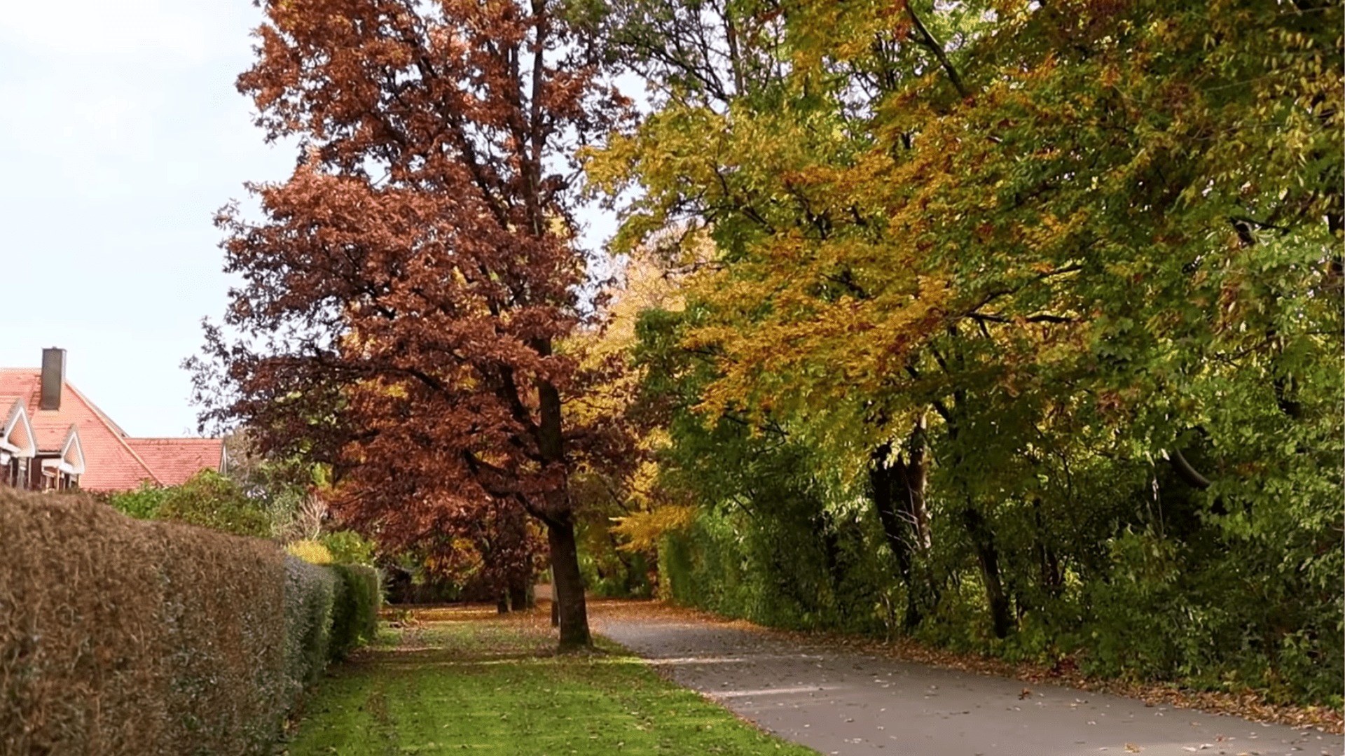 You’ve GOT to See Germany in Autumn! | My Merry Messy German Life