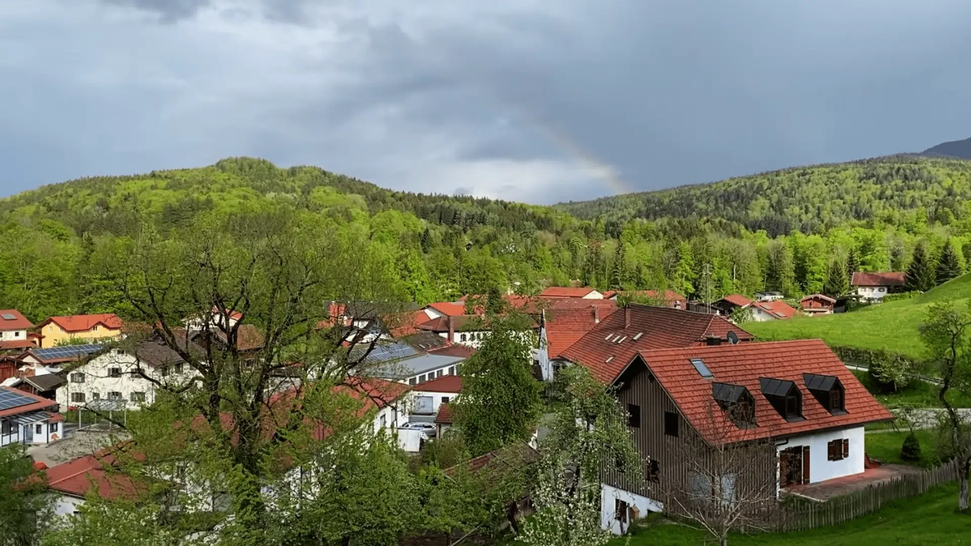 Surprising German Culture Shocks as Americans | My Merry Messy German Life